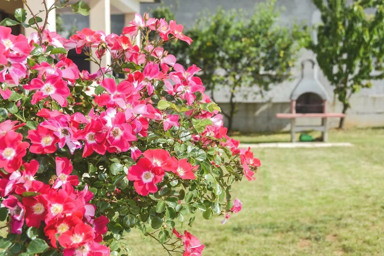 Apartment Damir For 8 Labin-Rabac Santalezi